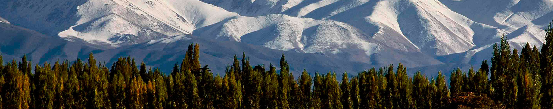 Visita Panorámica