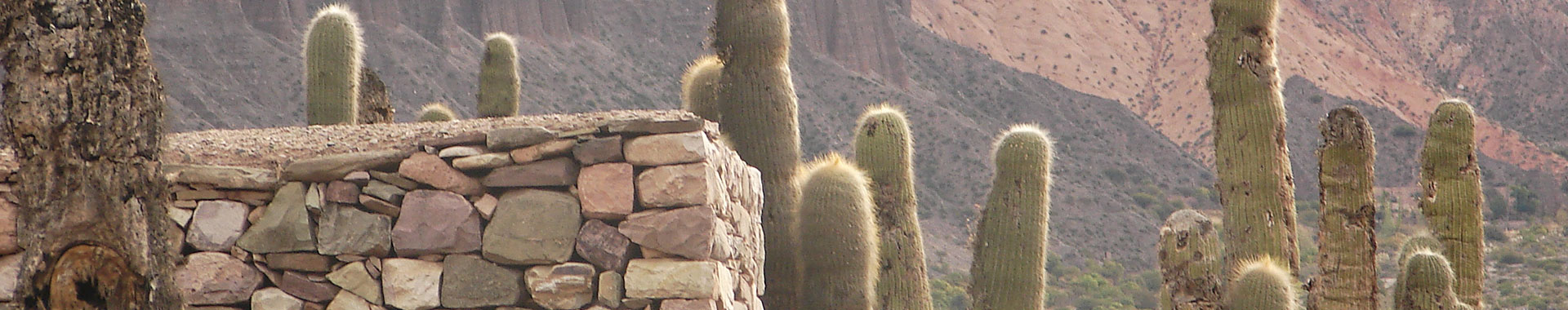 Argentina - NOA - Paseos - Humahuaca