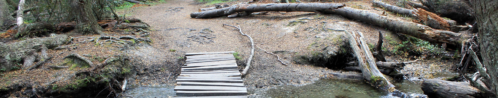 Parque Nacional Tierra del Fuego