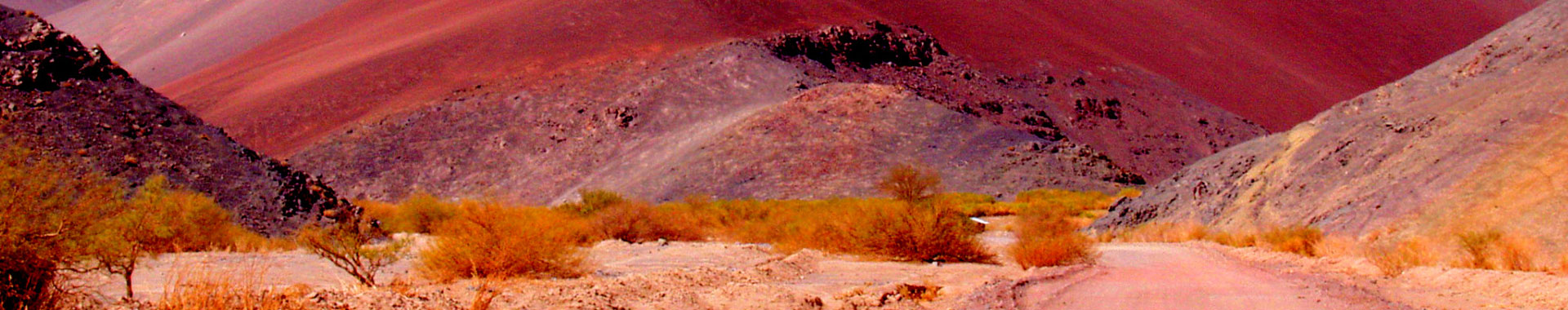 Maravillas de Atacama