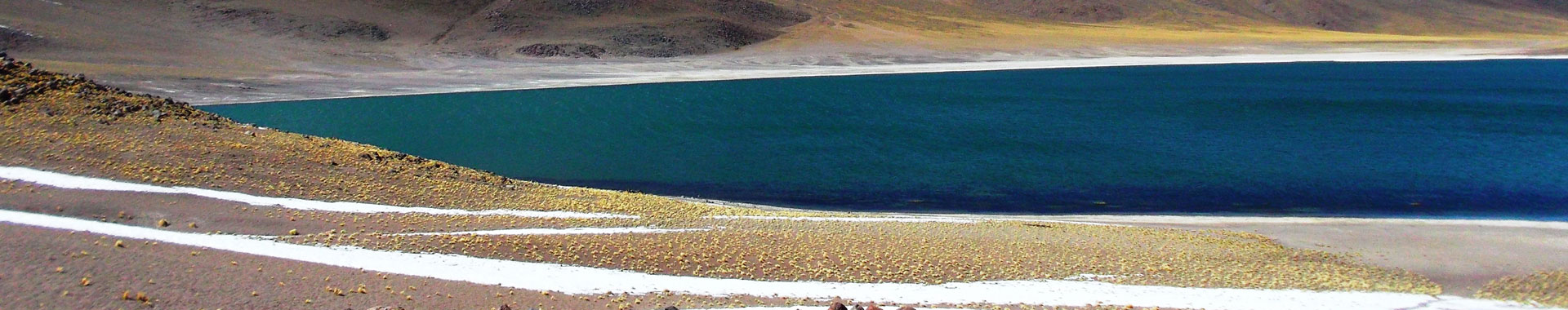 Lagunas Antiplánicas