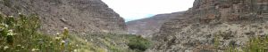 Los Cardones Gorge