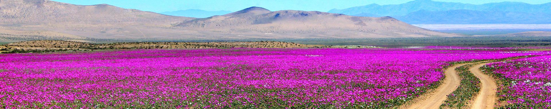 Chile - Atacama - Lugares